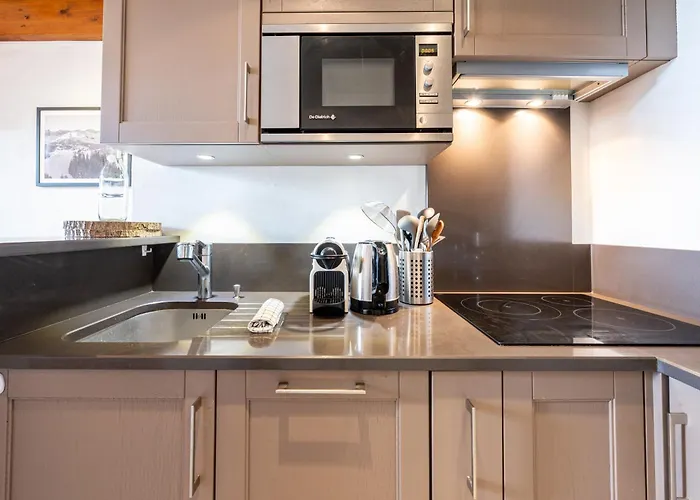 Le Refuge De Rochebrune - Vue Montagne